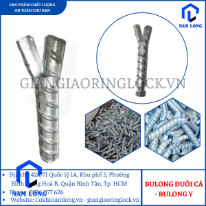 Bulong đuôi cá – Bulong Neo Y